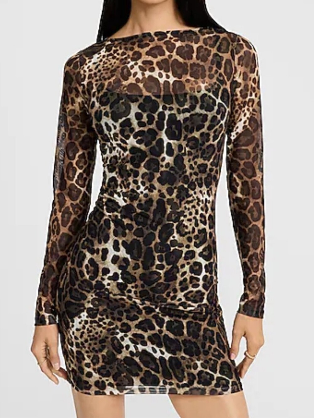 Express Animal Print Mesh Dress